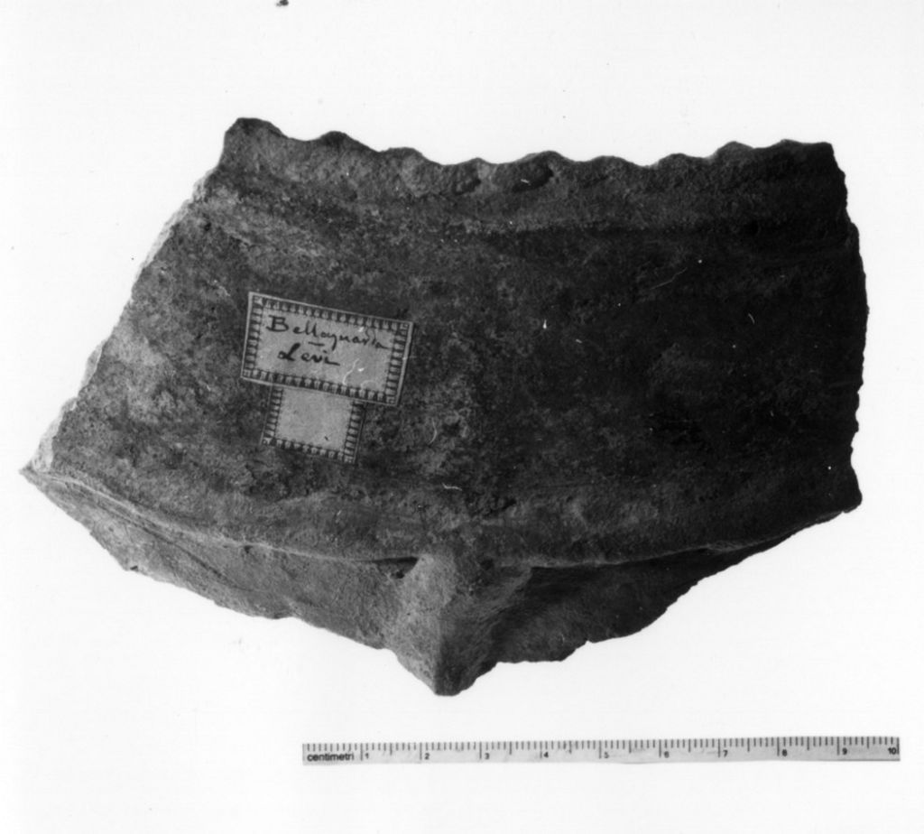 vaso/ frammento - produzione terramaricola (età del bronzo medio o recente)