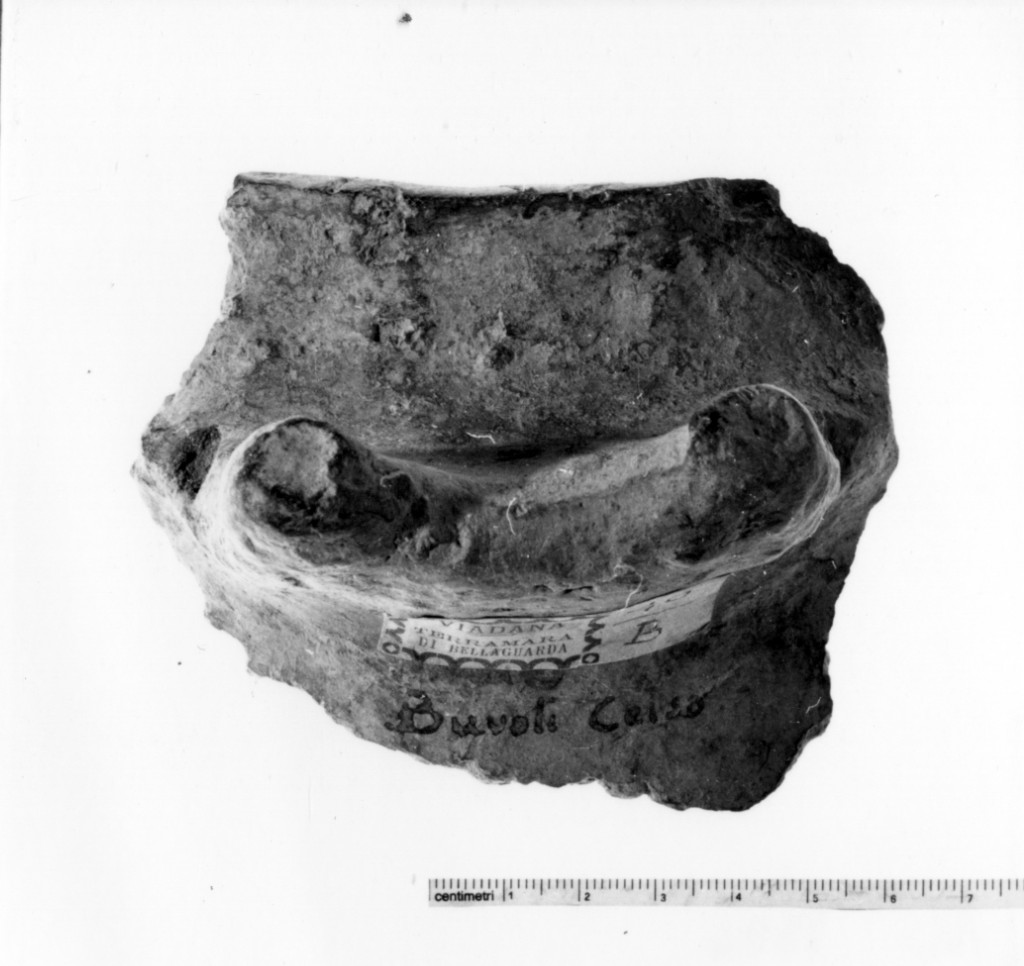 vaso/ frammento - produzione terramaricola (età del bronzo recente)