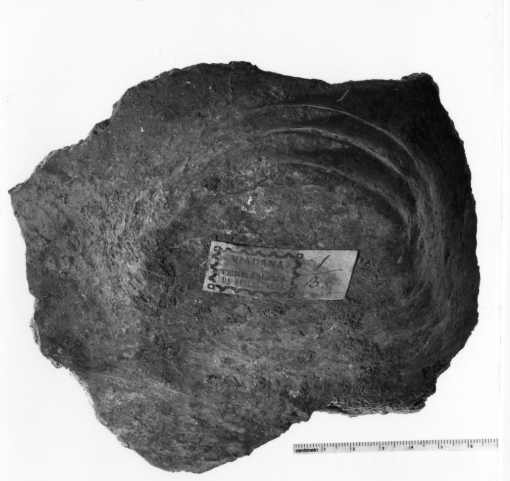 vaso/ frammento - produzione terramaricola (età del bronzo medio o recente)