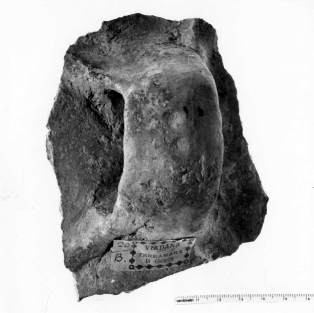 vaso/ frammento - produzione terramaricola (età del bronzo medio-recente)