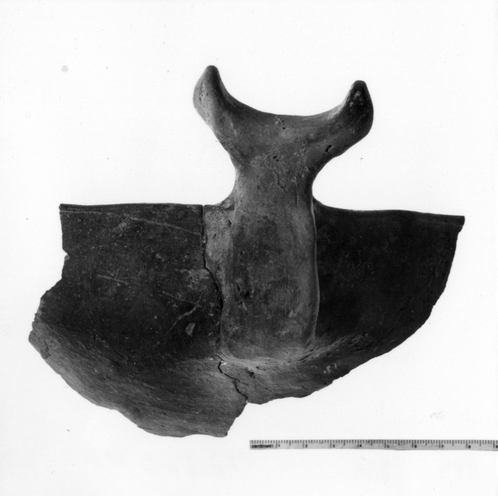 vaso/ frammento - produzione terramaricola (età del bronzo medio-recente)