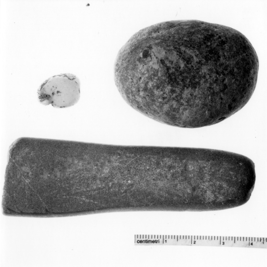 raschiatoio - cultura terramaricola (età del bronzo medio-recente)