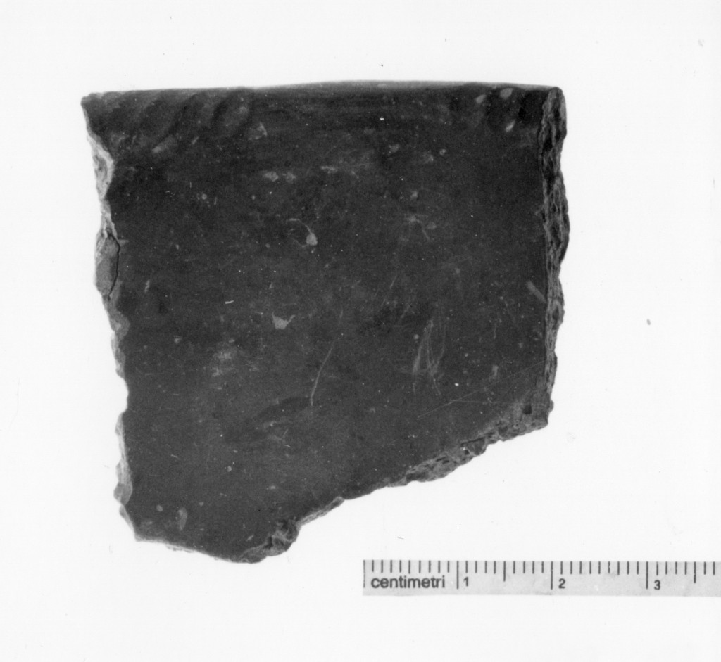 vaso/ frammento - cultura terramaricola (media età del bronzo)