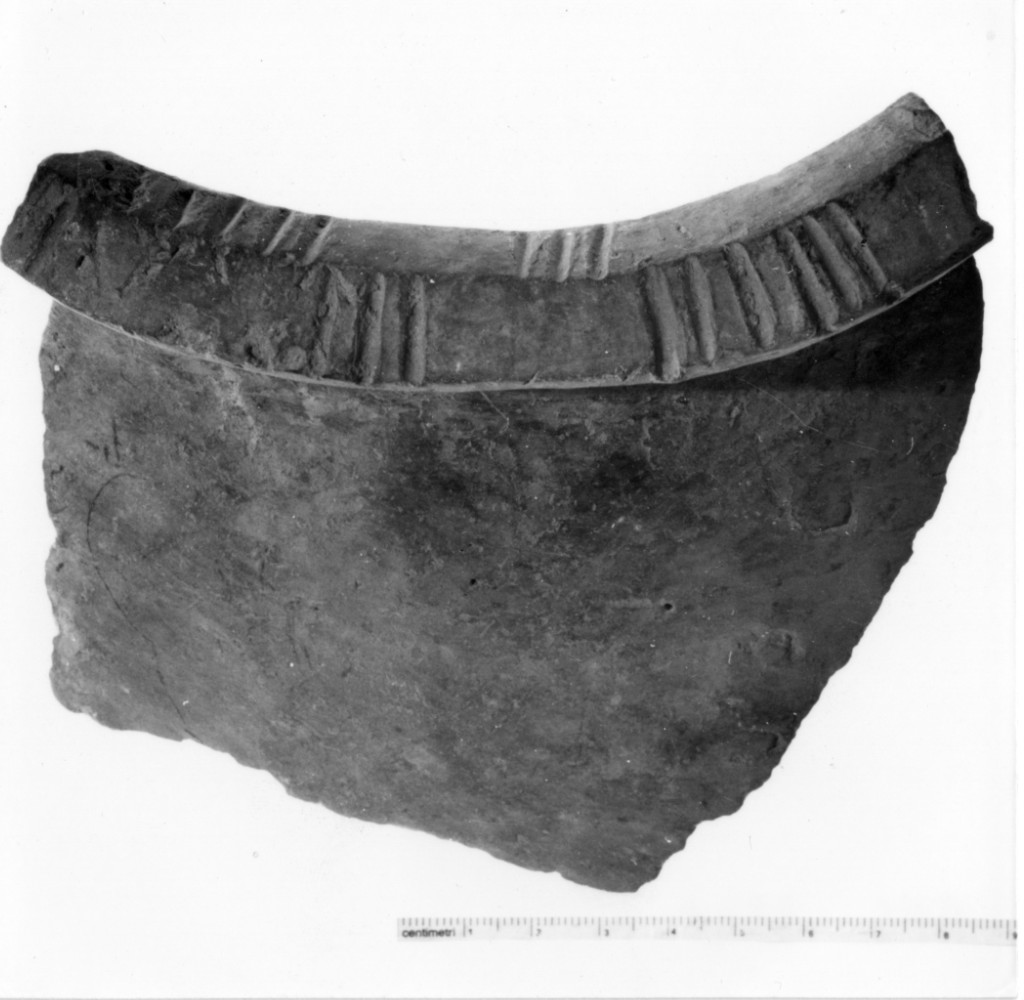 dolio/ frammento - cultura terramaricola (media età del bronzo)