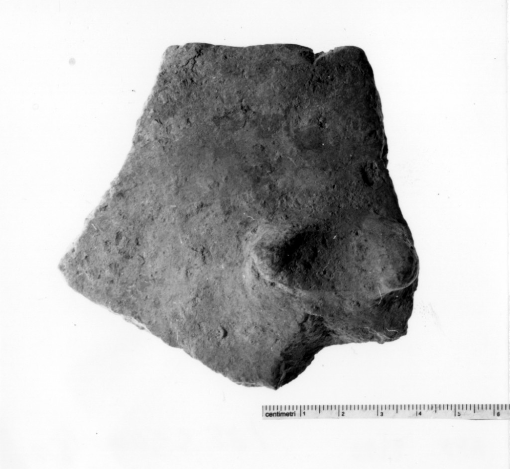 vaso/ frammento - cultura terramaricola (età del bronzo recente)