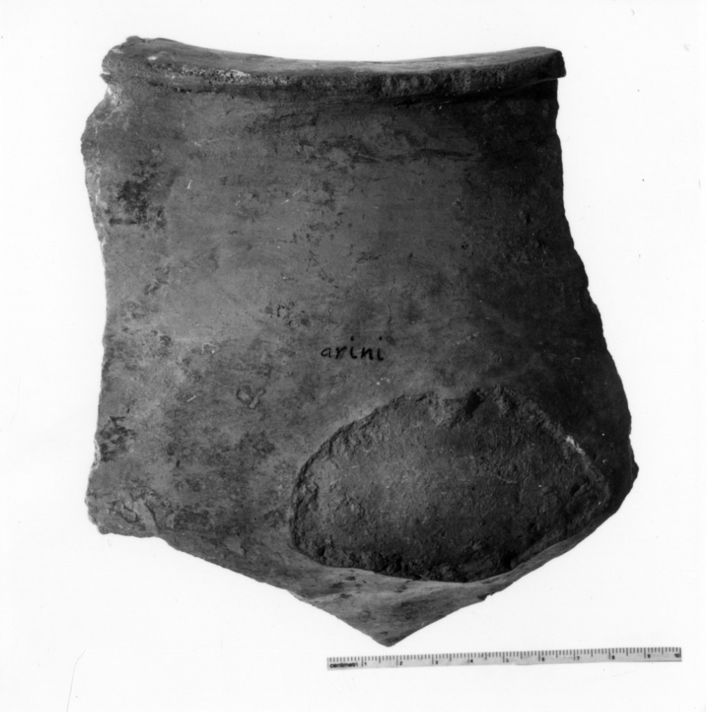 dolio/ frammento - cultura terramaricola (età del bronzo recente)