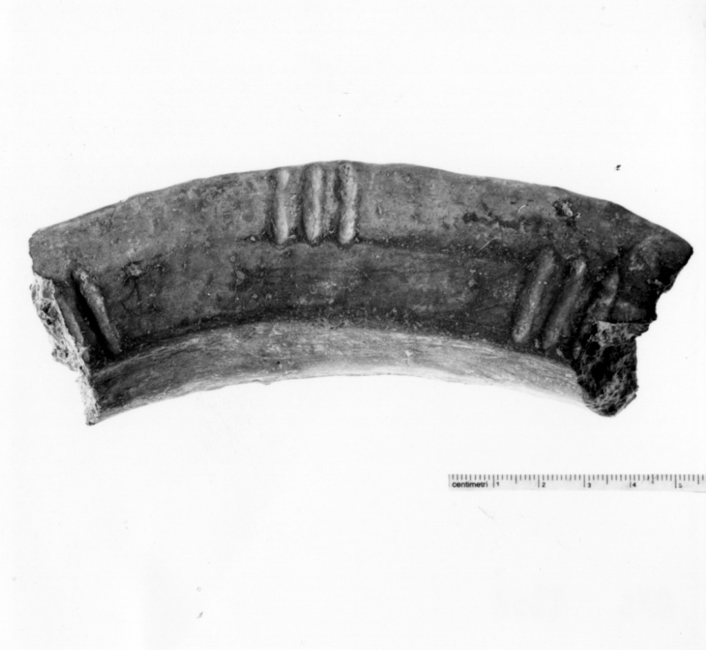 vaso/ frammento - cultura terramaricola (età del bronzo medio)