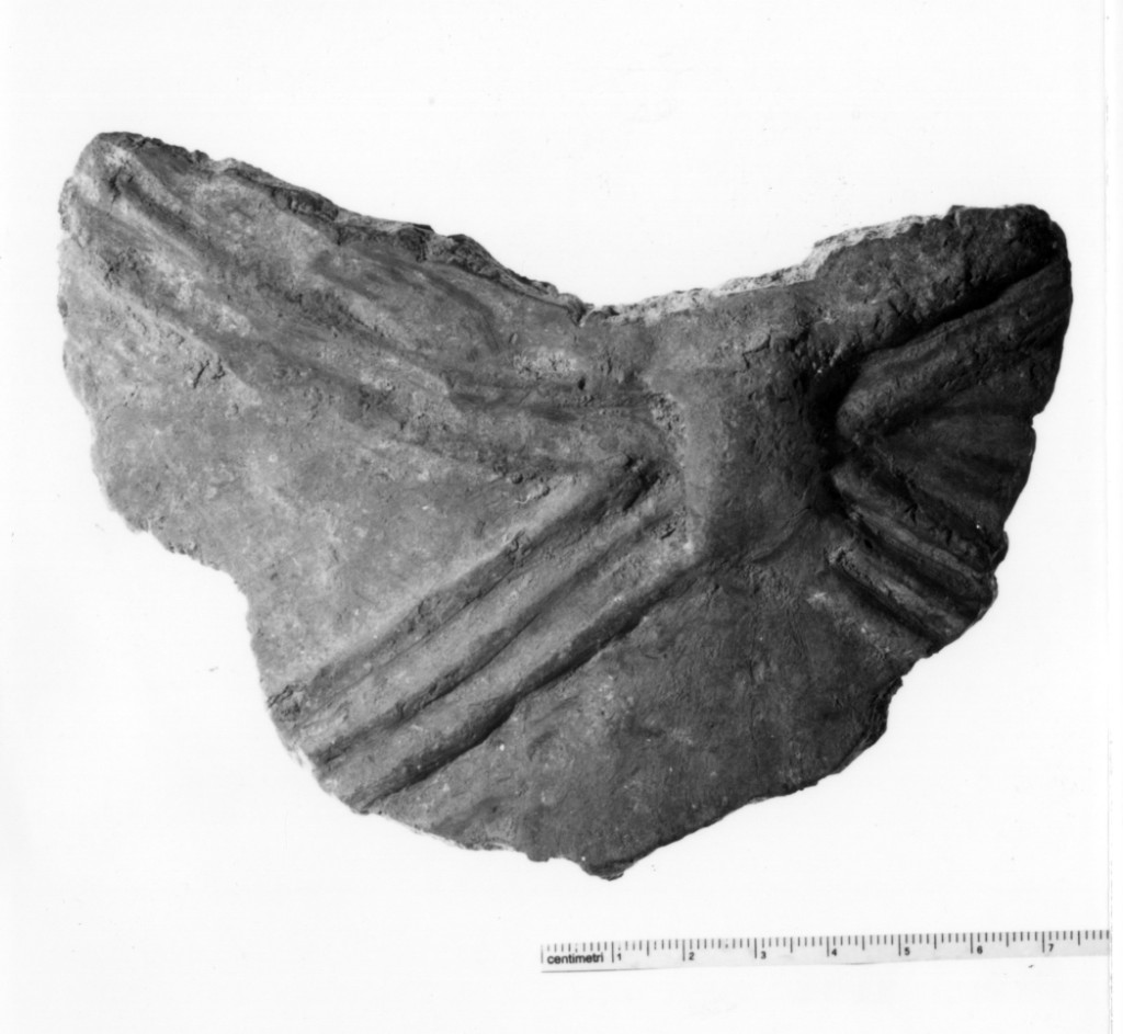 vaso/ frammento - cultura terramaricola (età del bronzo medio-recente)