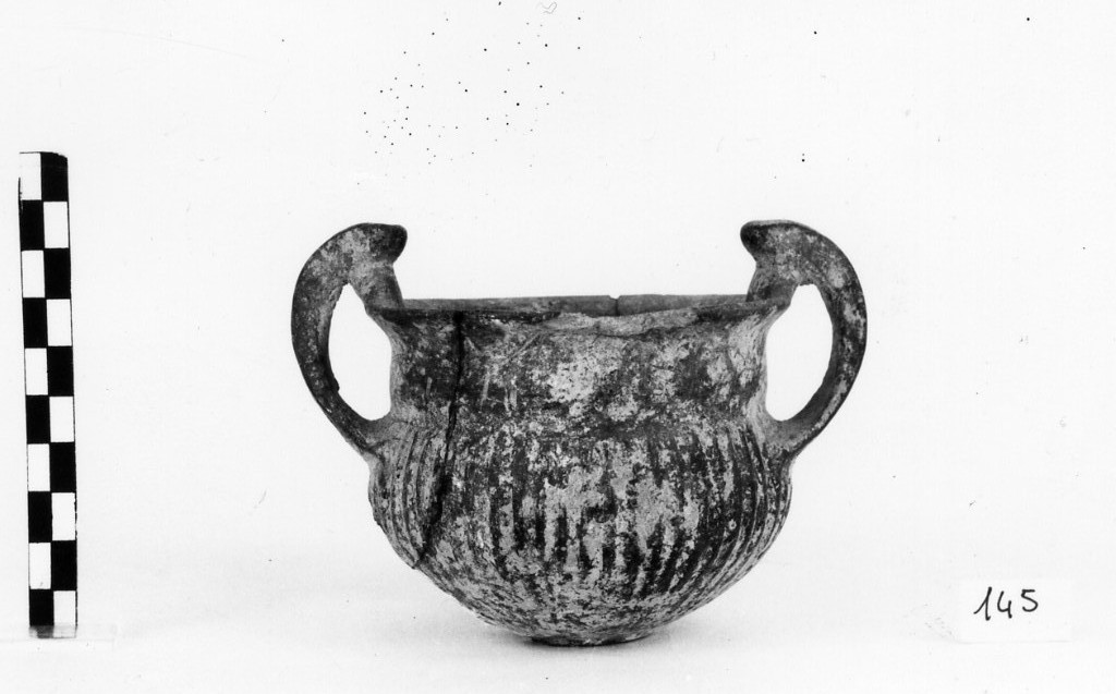 anforetta (prima metà sec. VI a.C)