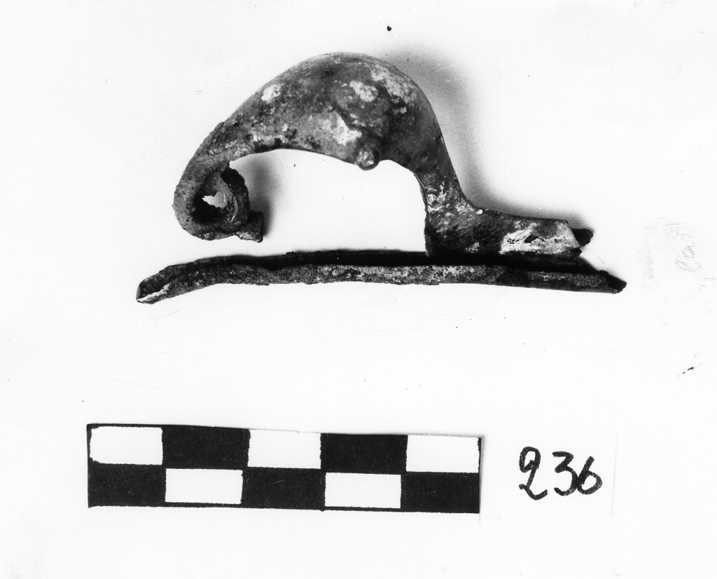 fibula a navicella 