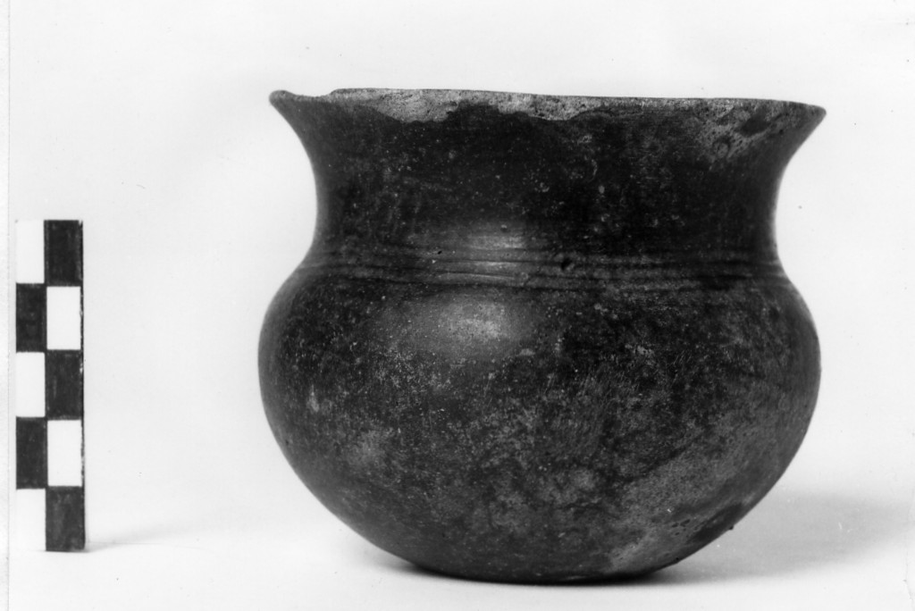bicchiere - Cultura di Golasecca, fase I C (sec. VII a.C)