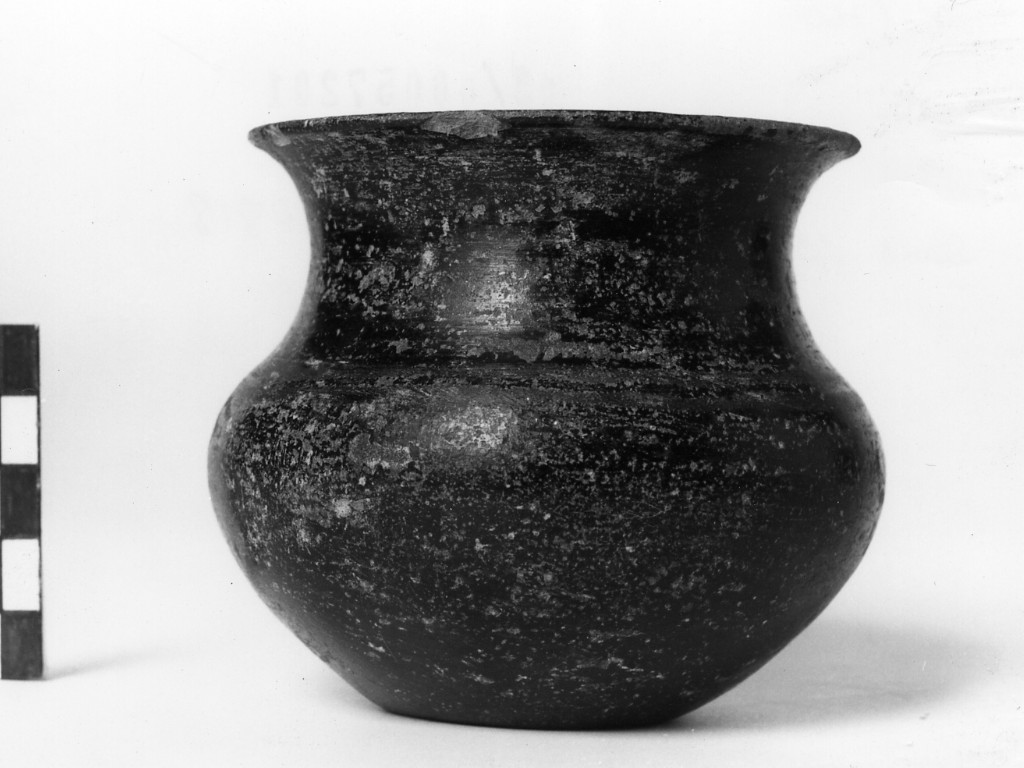 bicchiere - Cultura di Golasecca, fase II A (prima metà sec. VI a.C)