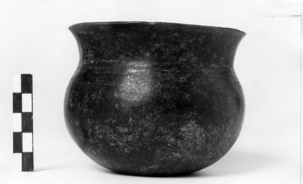 bicchiere - Cultura di Golasecca, fase I C (sec. VII a.C)