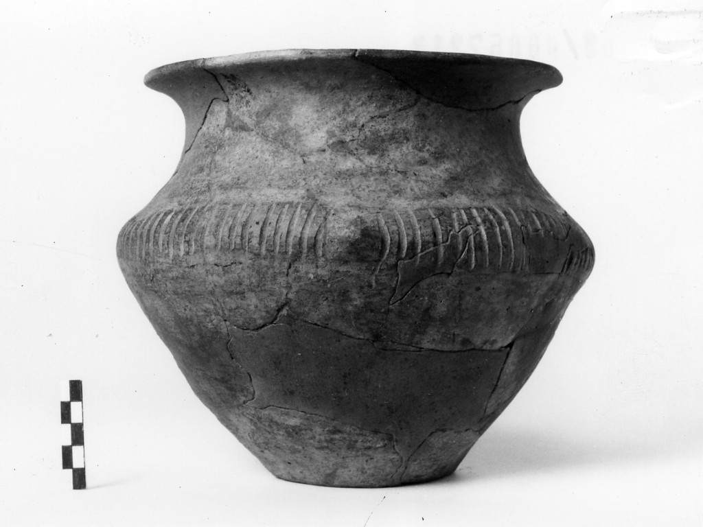 urna - Cultura di Canegrate (sec. XIII a.C)