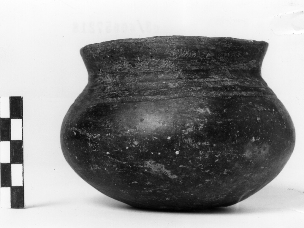 bicchiere - Cultura di Golasecca, fase I B (fine/ inizio secc. VIII a.C. -VII a.C)