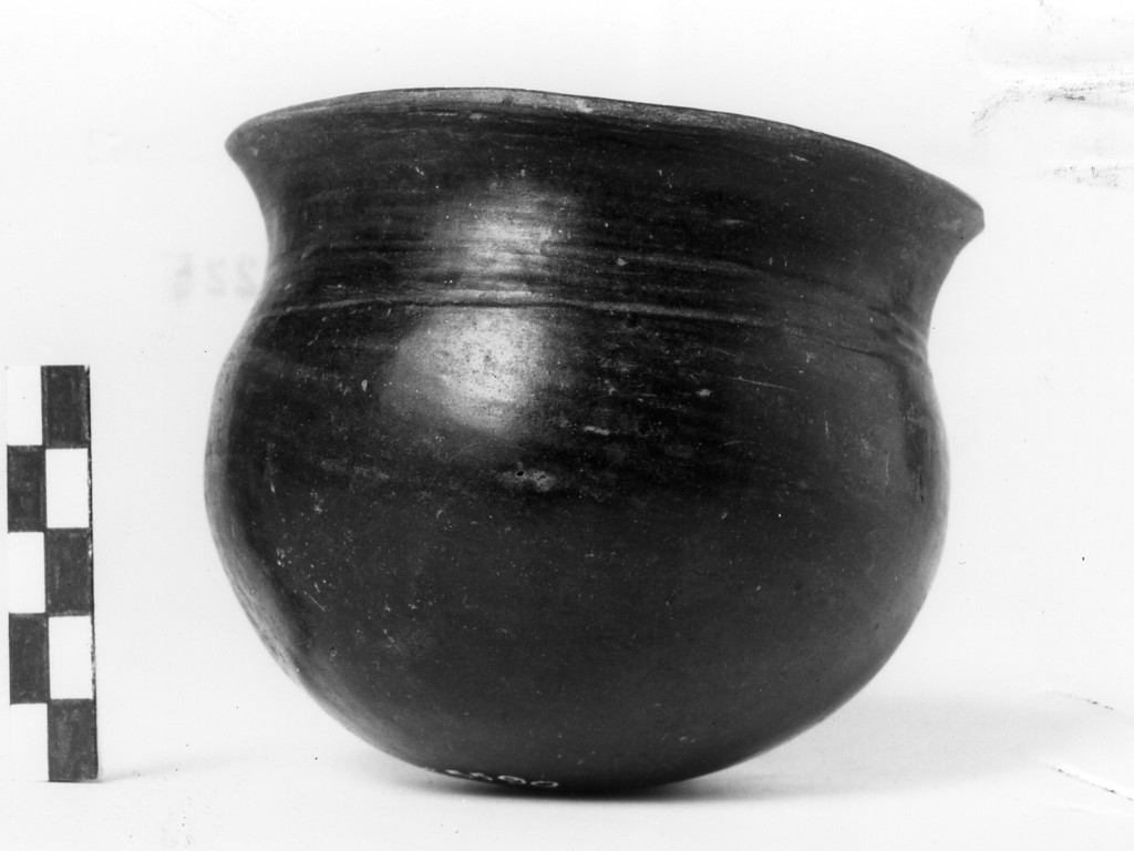 bicchiere - Cultura di Golasecca fase I C (sec. VII a.C)