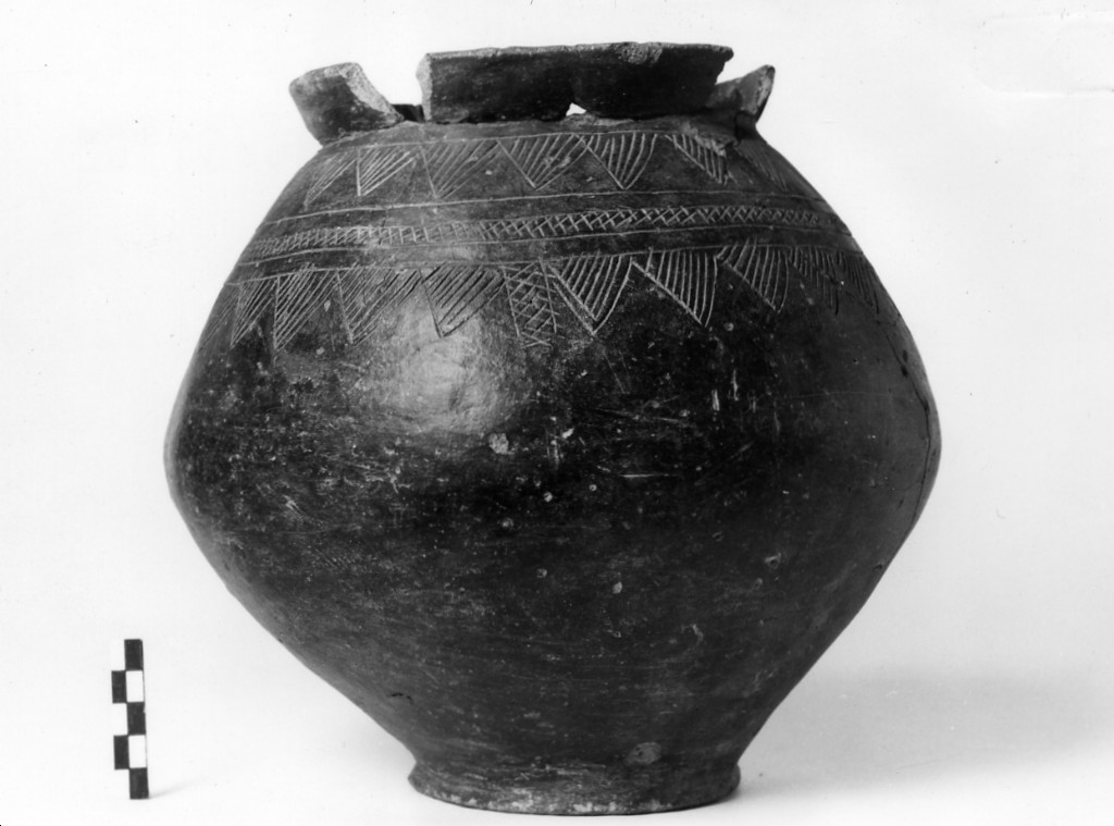 urna biconica - Cultura di Golasecca fase I-B (fine/ inizio secc. VIII a.C.-VII a.C)