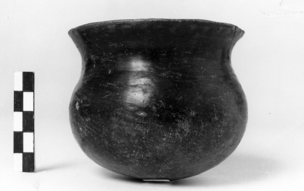 bicchiere - Cultura di Golasecca fase I-C (sec. VII a.C)