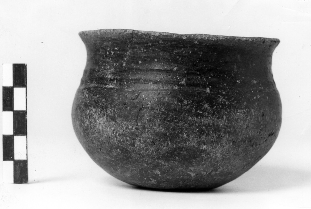 bicchiere - Cultura di Golasecca fase I-C (sec. VII a.C)