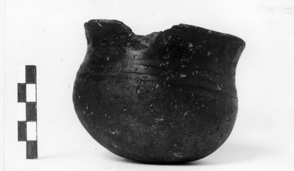 bicchiere - Cultura di Golasecca fase I-C (sec. VII a.C)