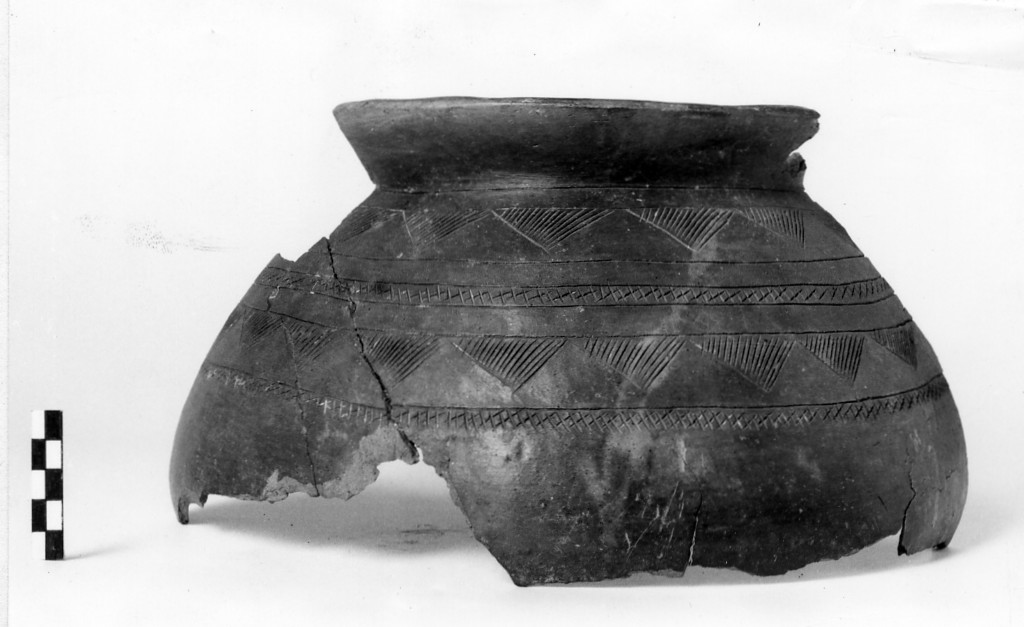 urna biconica - Cultura di Golasecca fase I-C (sec. VII a.C)