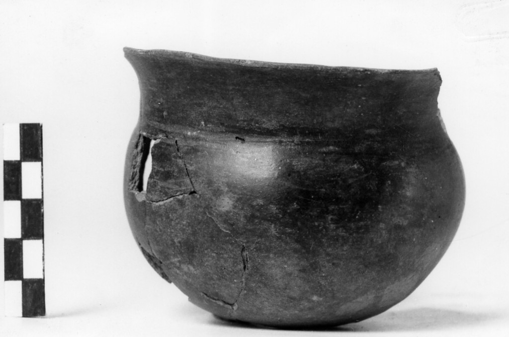 bicchiere - Cultura di Golasecca fase I-C (sec. VII a.C)