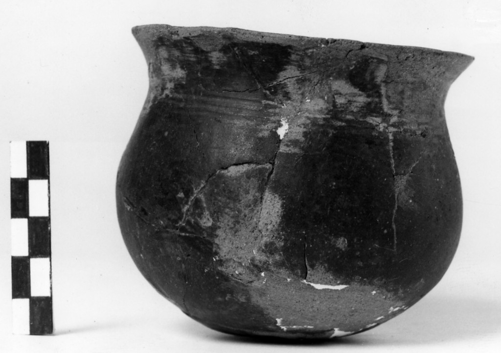 bicchiere - Cultura di Golasecca fase I-C (sec. VII a.C)