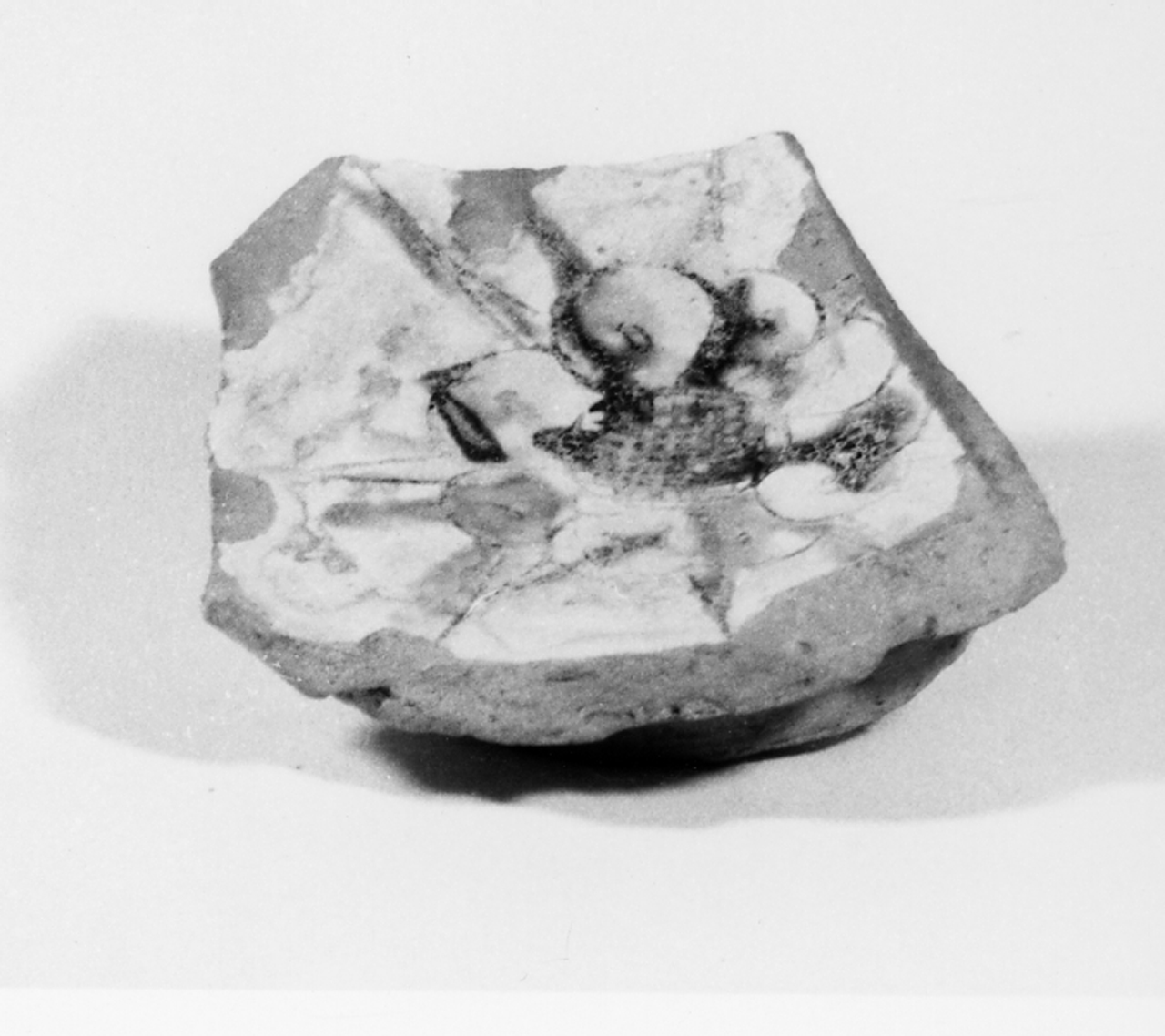 Motivo decorativo vegetale (scodella/ fondo) - manifattura veneta (seconda metà XVI)