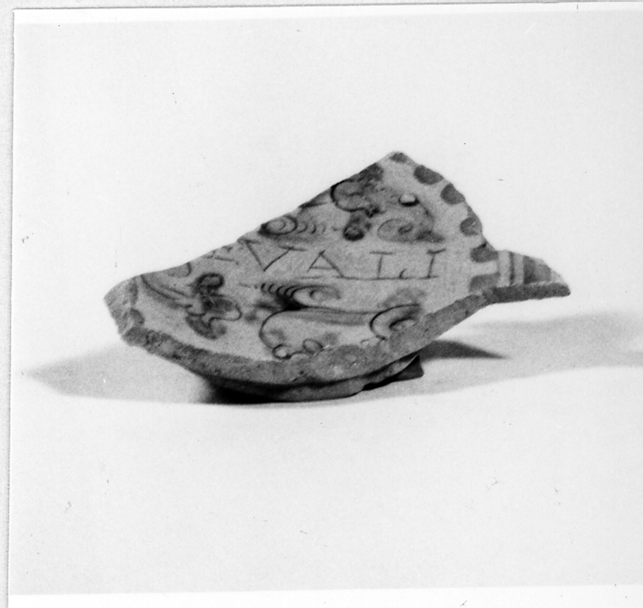 Iscrizione/ Motivi decorativi vegetali (scodella/ fondo) - manifattura veneta (prima metà XVII)