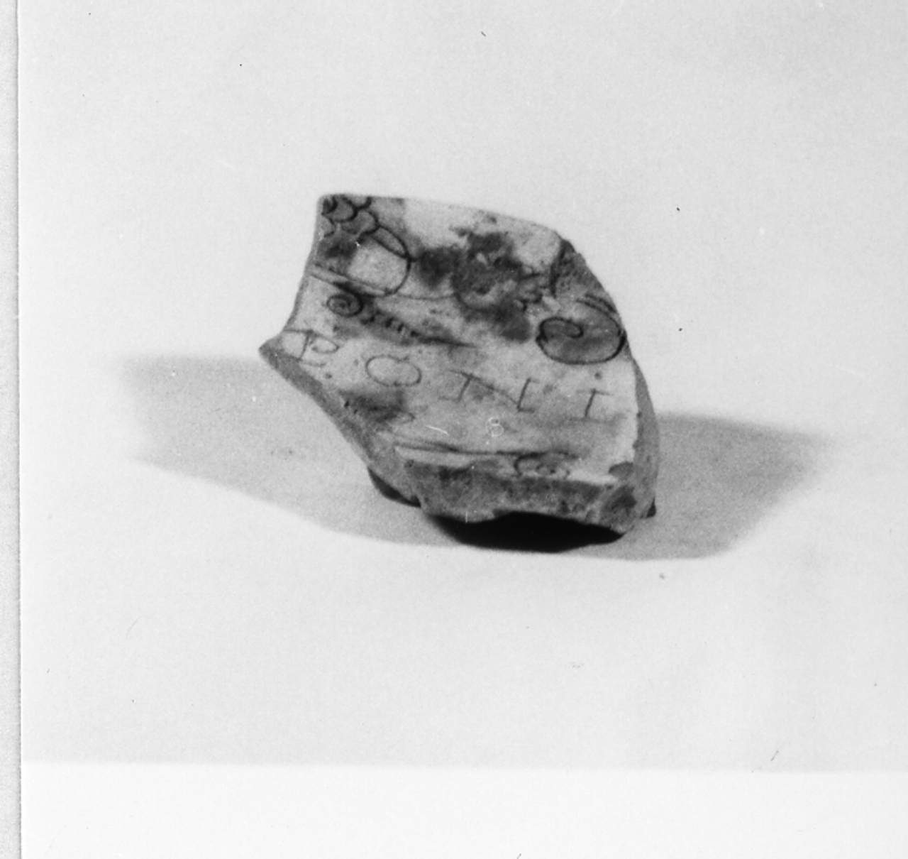 Iscrizione/ Motivi decorativi vegetali (scodella/ fondo) - manifattura veneta (prima metà XVII)