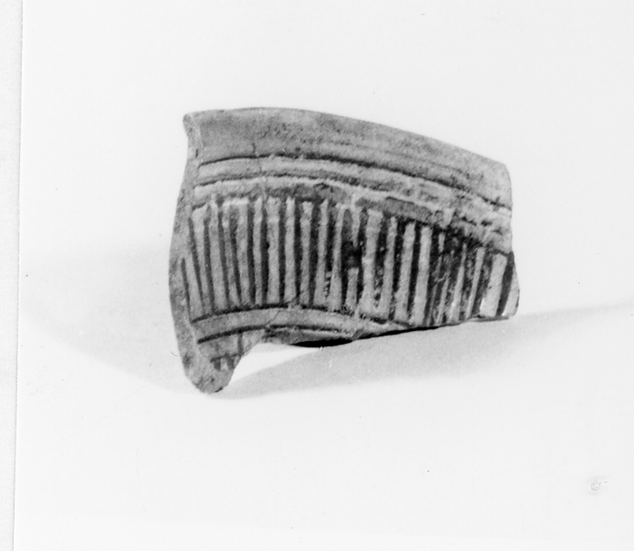 Motivi decorativi geometrici (scodella/ parete, orlo) - manifattura veneta (XVI)