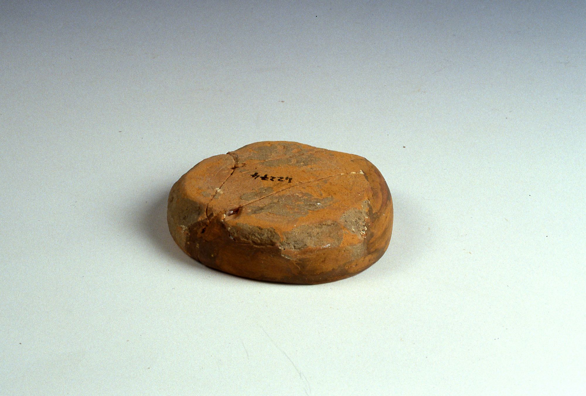 Patera/frammenti, Conspectus B 1.6 (Inizio Sec. I d. C)