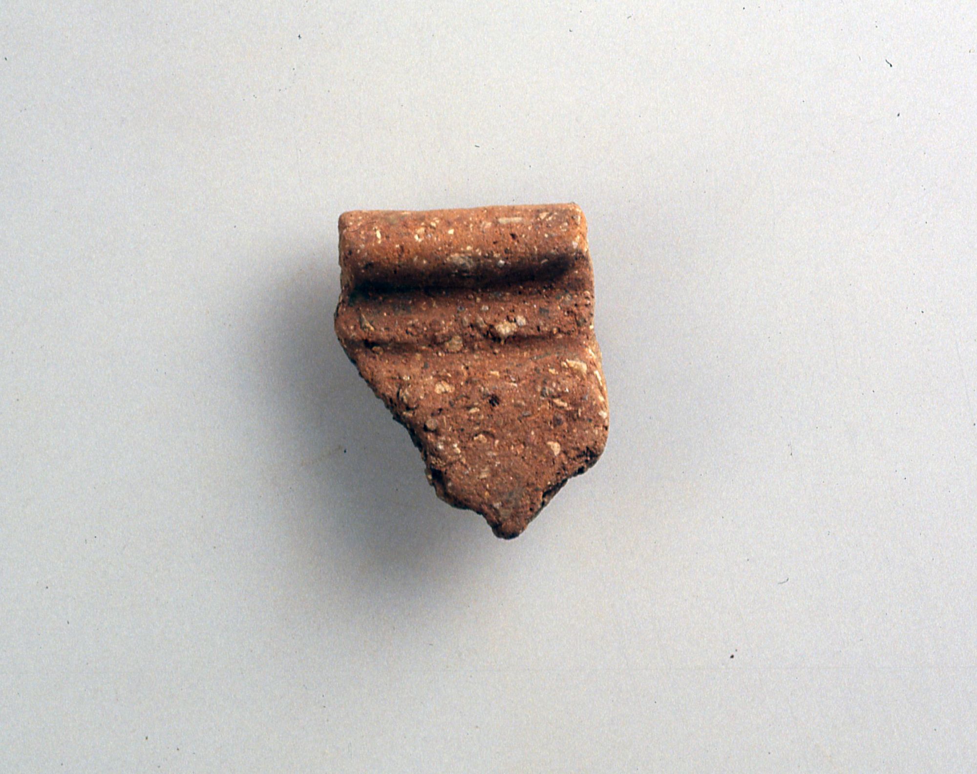 Olla/frammento (Fine Sec. I d. C)