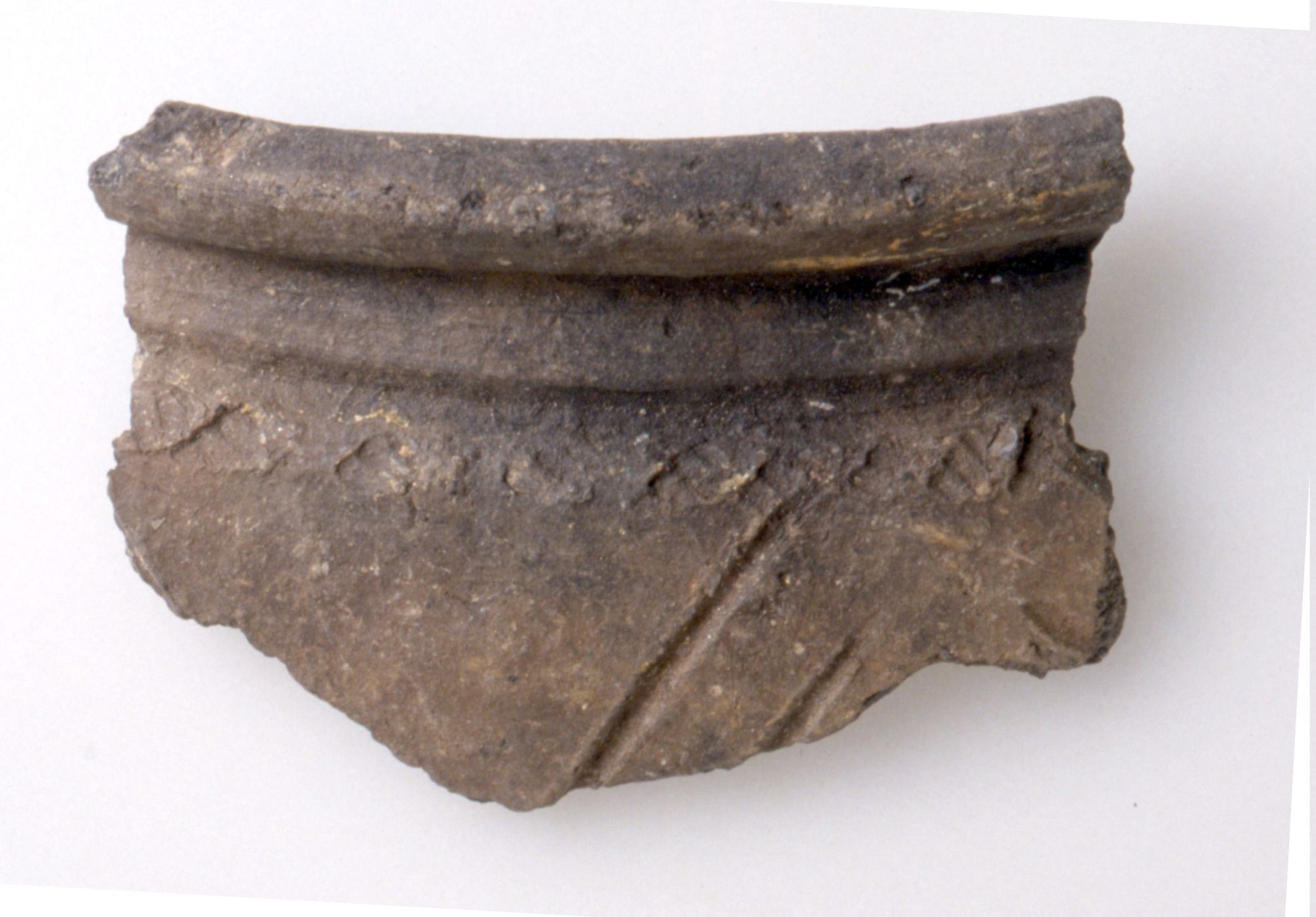 Olla/frammento, Guglielmetti, Lecca Bishop, Ragazzi tipo MM3 81-82 (Sec. II d. C)