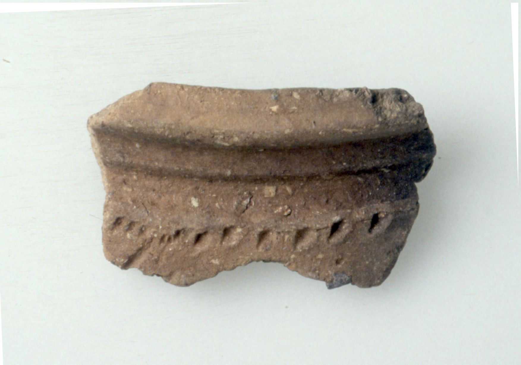 Olla/frammento (Fine Sec. I d. C)