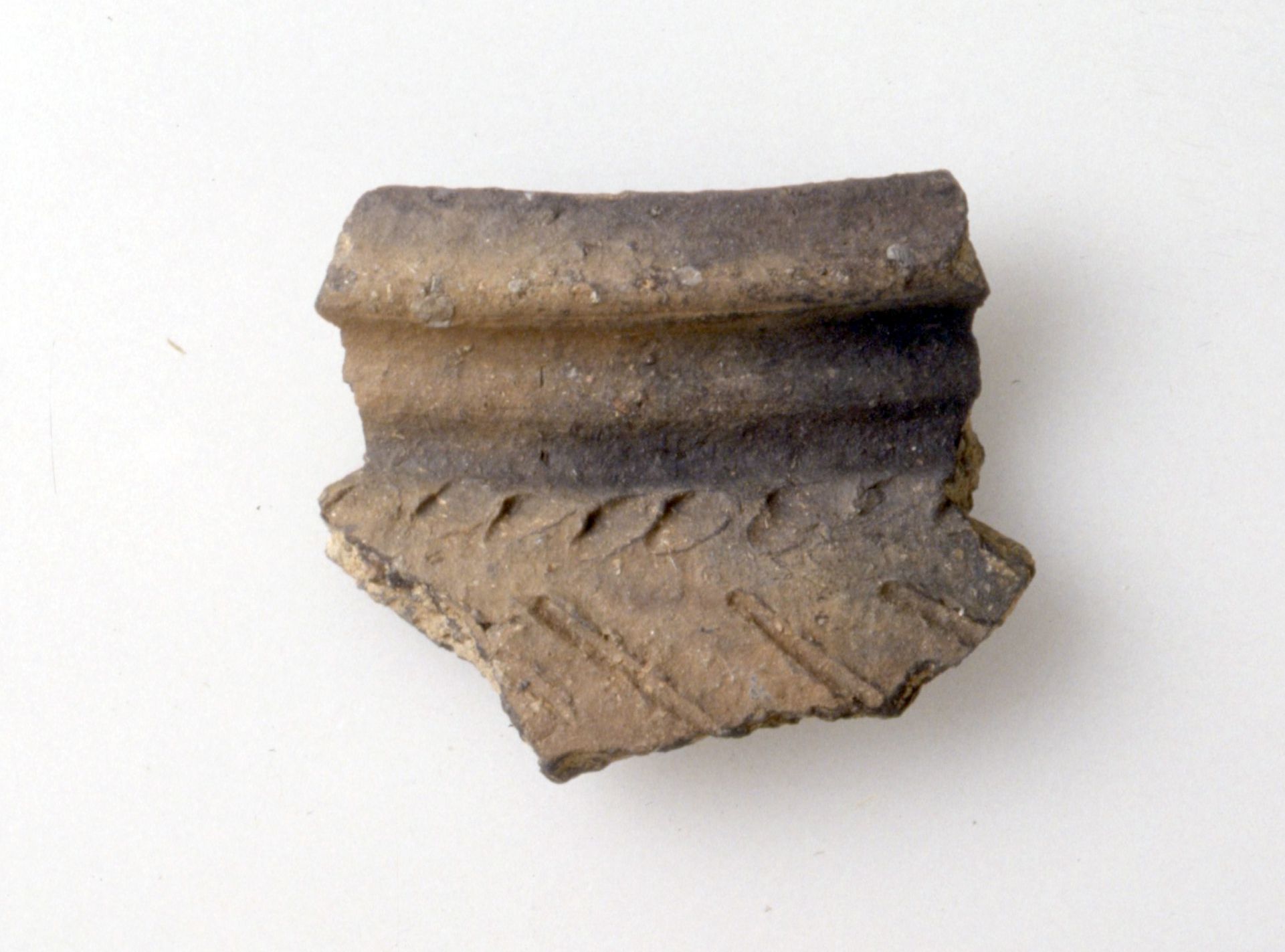 Olla/frammento (Fine Sec. I d. C)