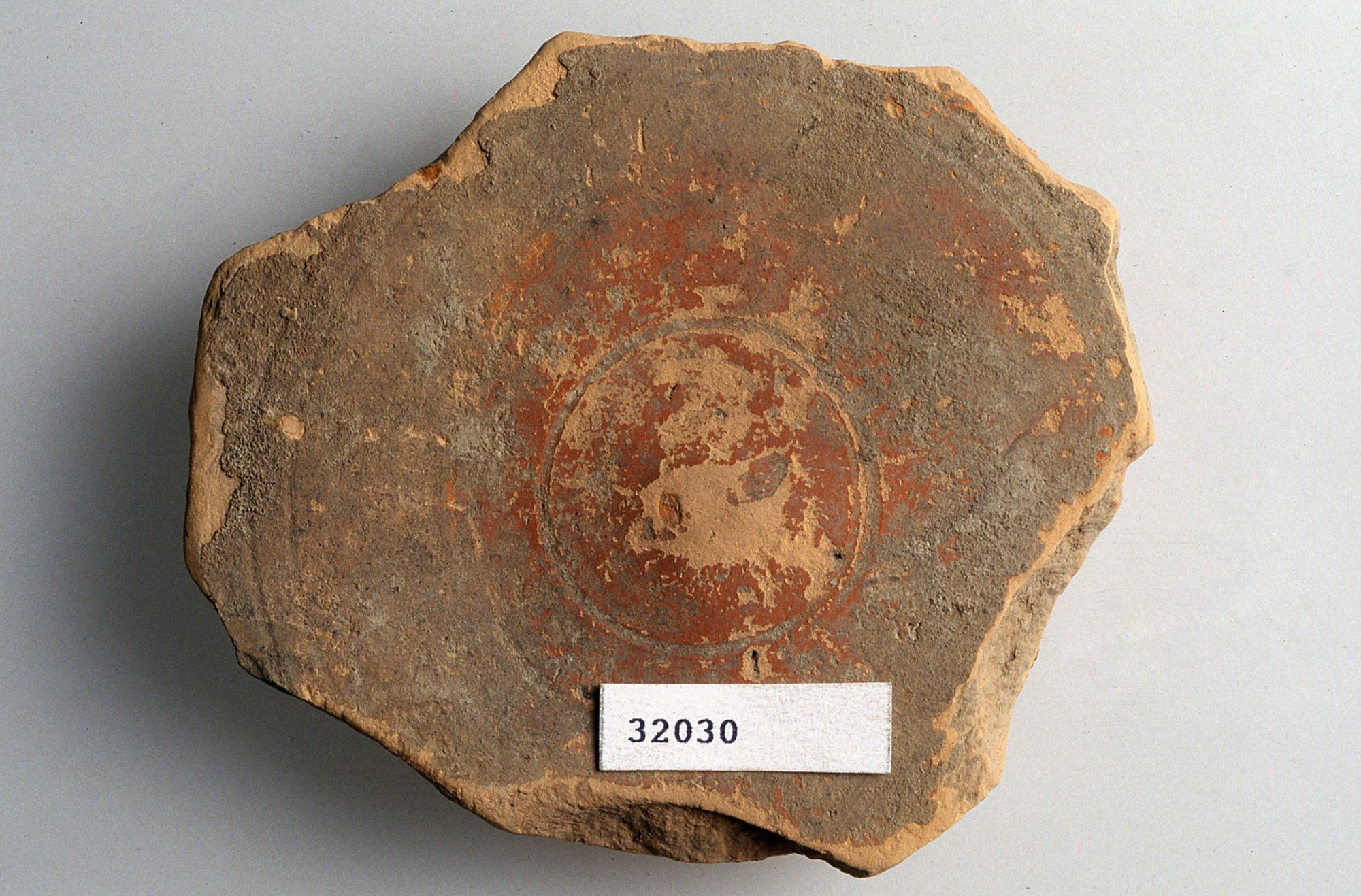 Patera/frammento, Conspectus B 1.8 (Sec. I d. C)