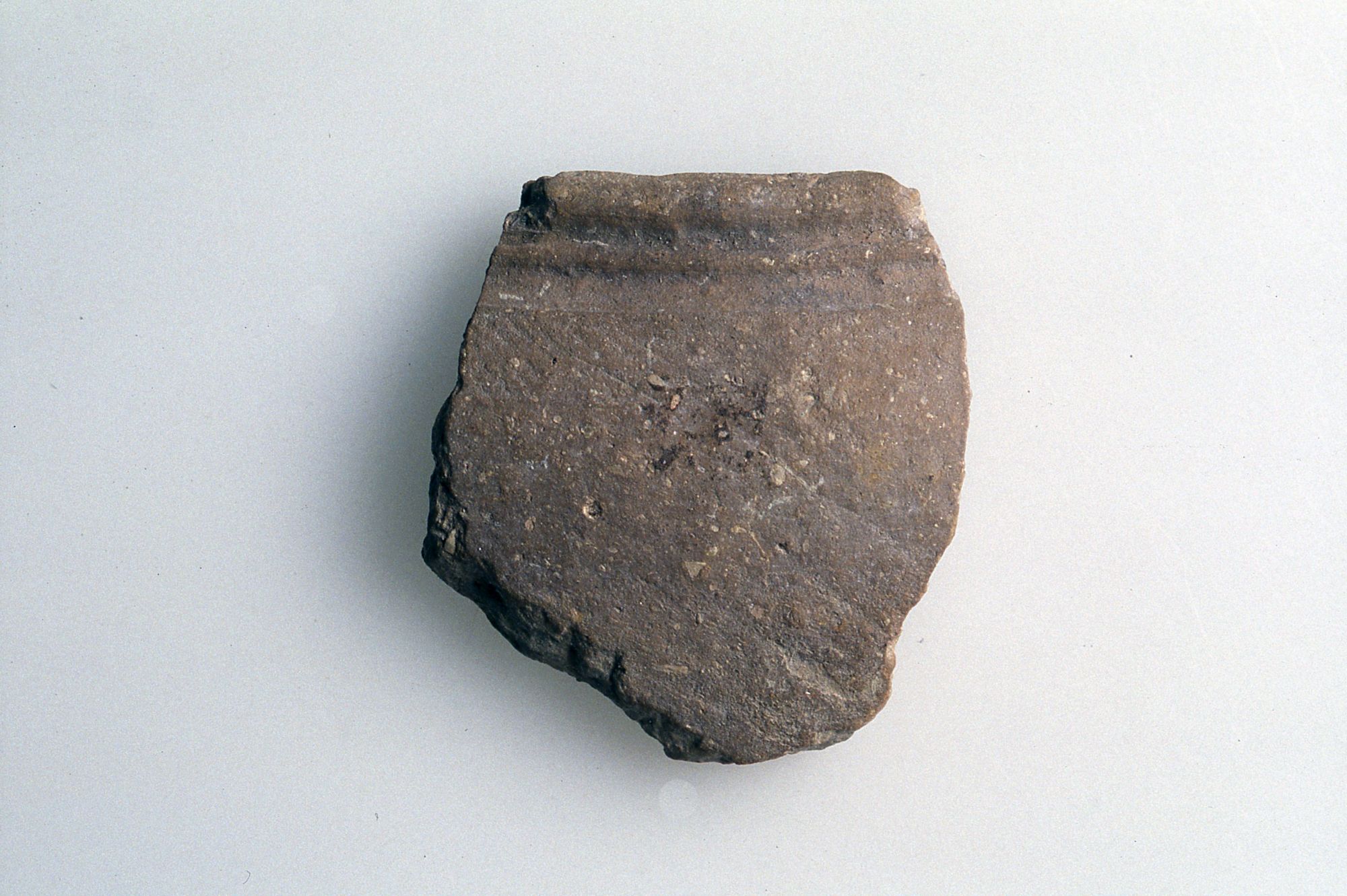 Olla/frammento, Guglielmetti, Lecca Bishop, Ragazzi tipo MM3 85 (Sec. II d. C)