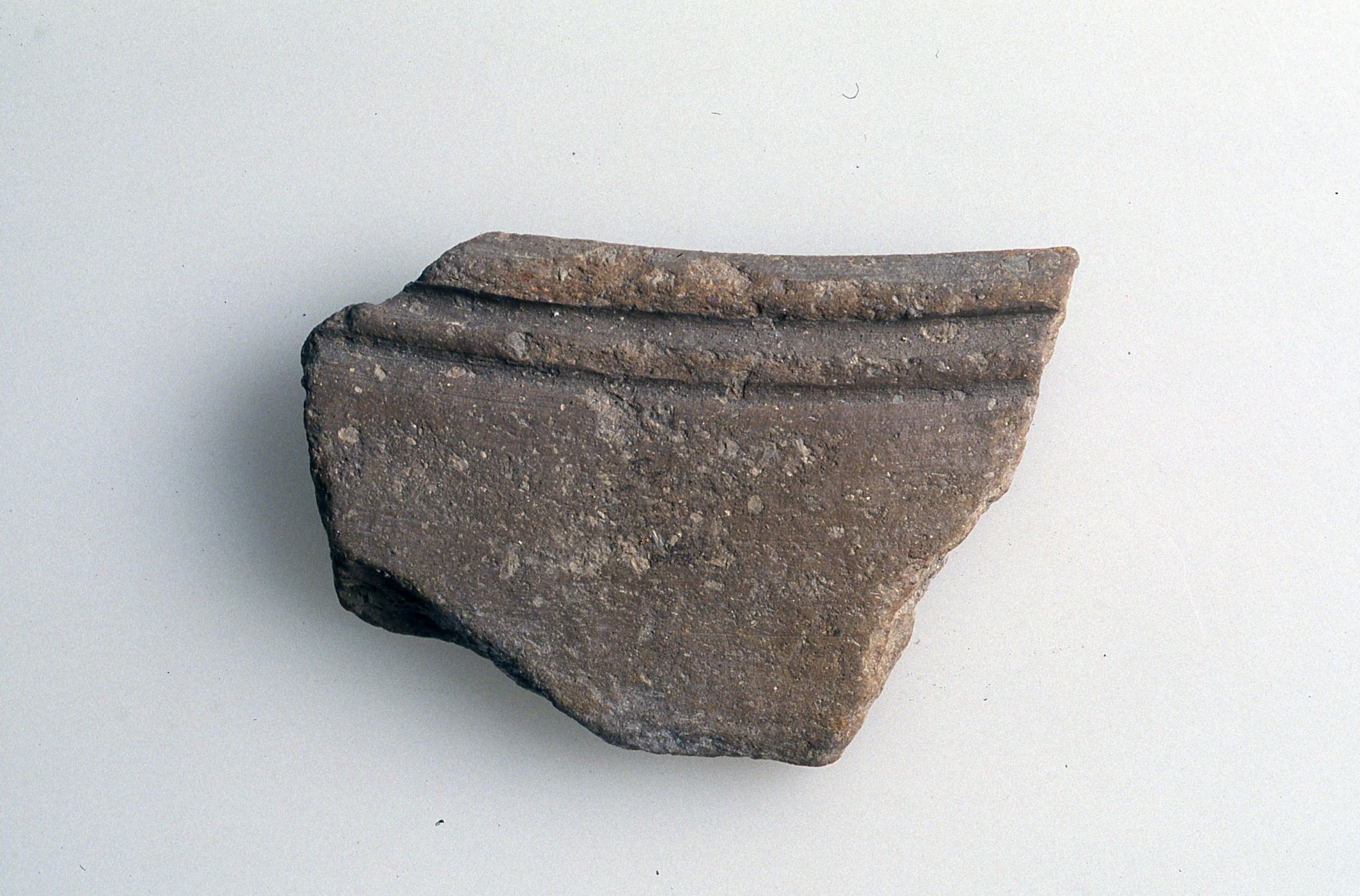 Olla/frammento, Guglielmetti, Lecca Bishop, Ragazzi tipo MM3 85 (Sec. I d. C)