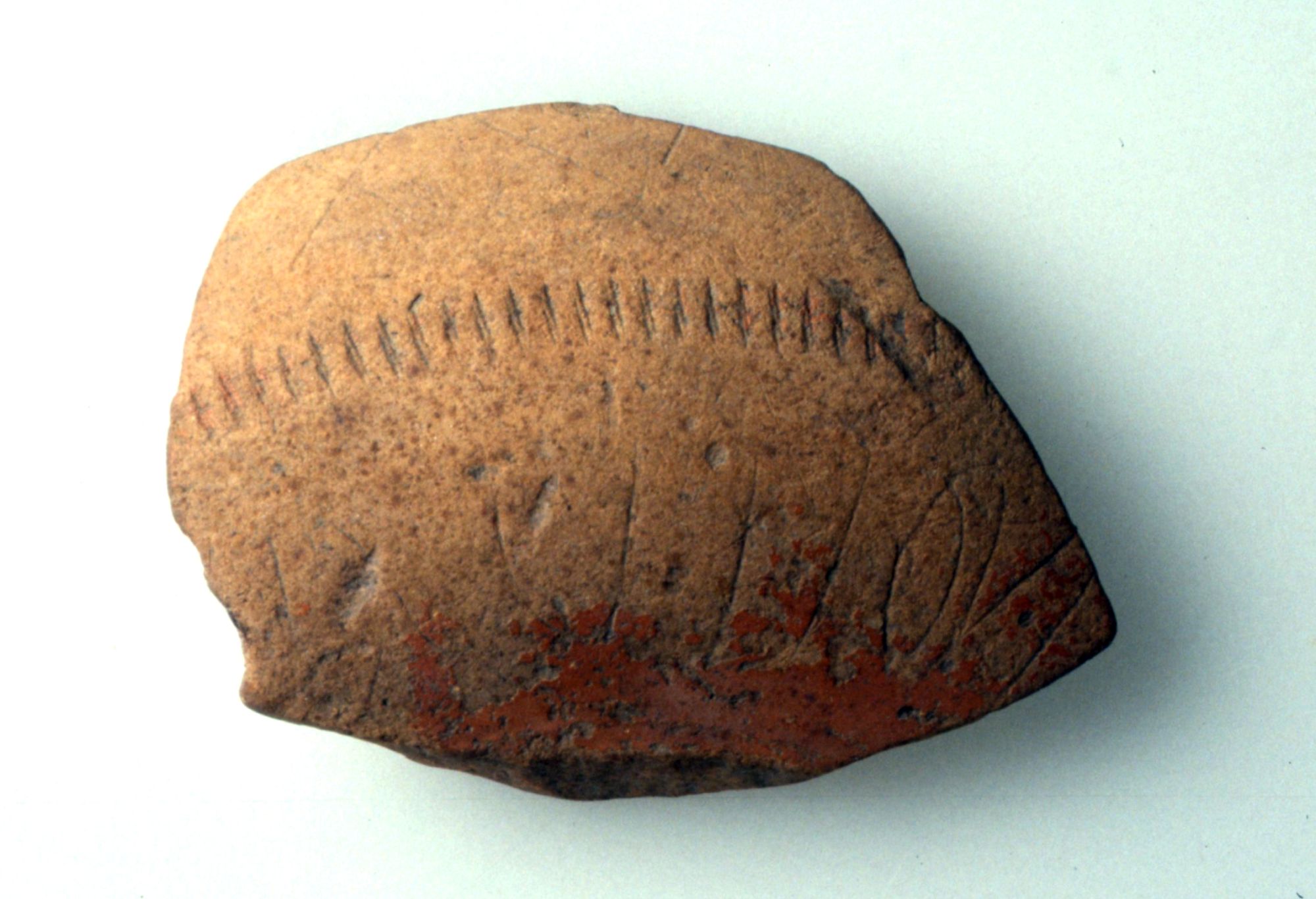 Coppa/frammento (II-III)