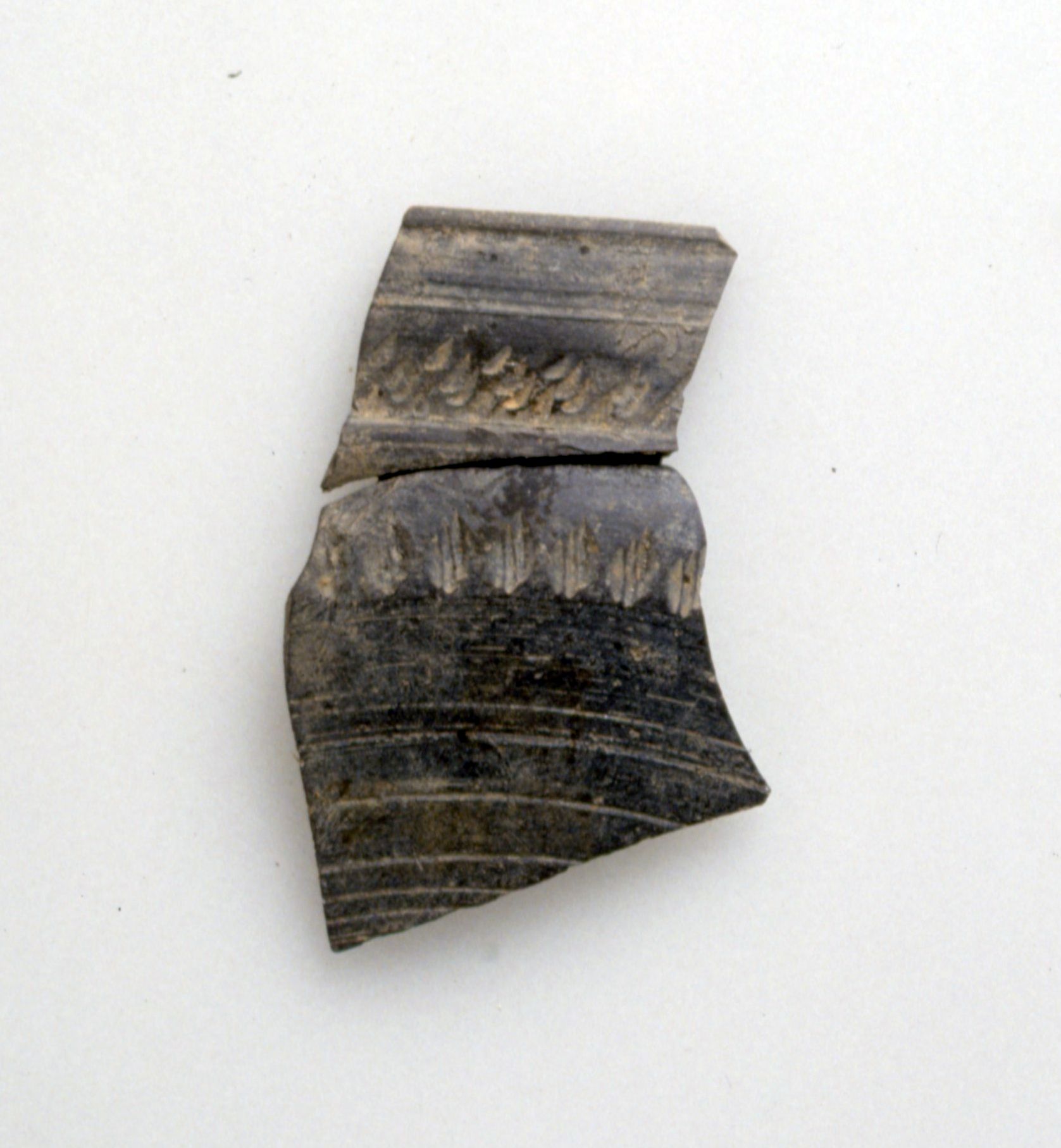 coppa/ emisferica, Marabini LV (Seconda metà Sec. I d. C)