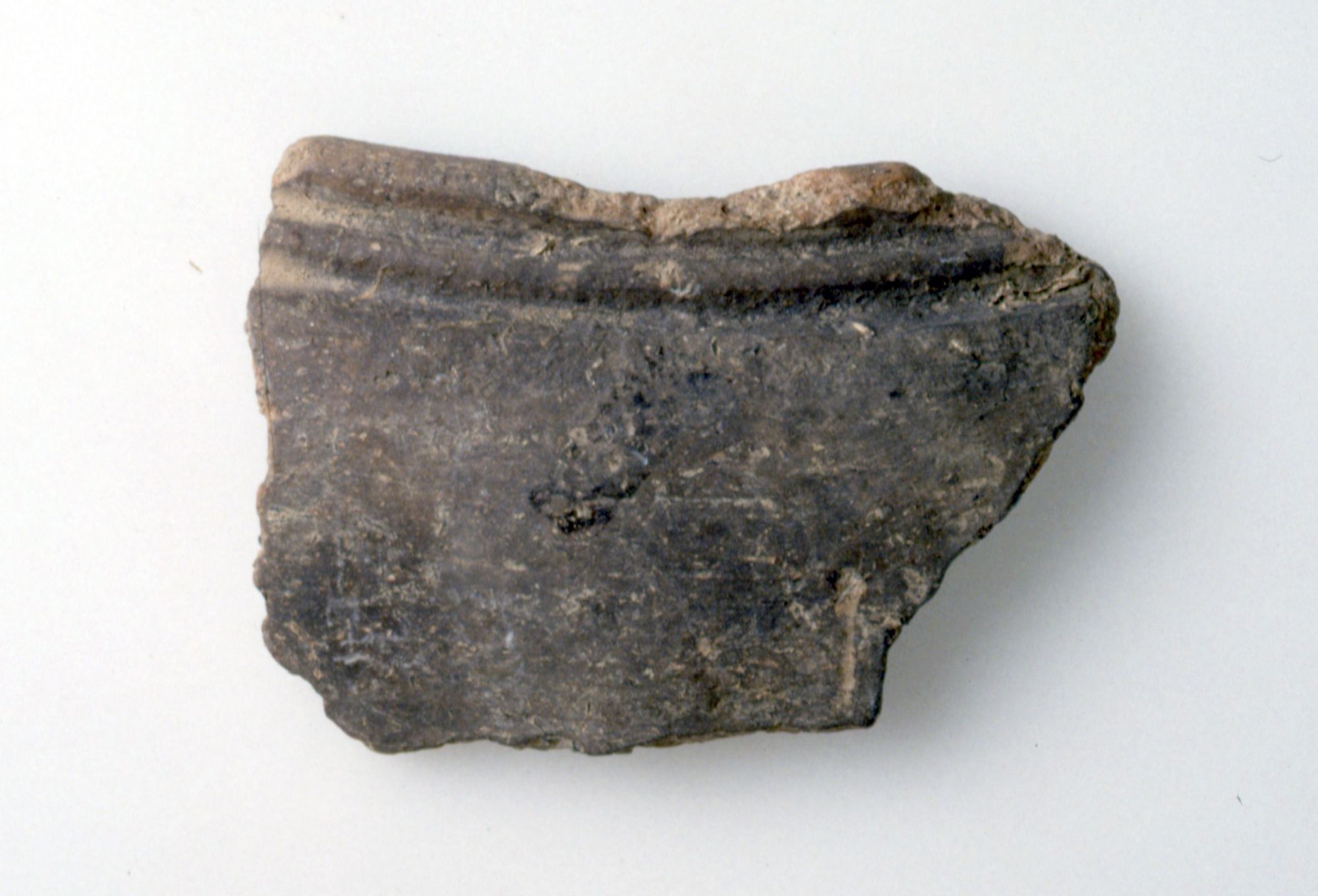 Olla/frammento (Fine Sec. I d. C)