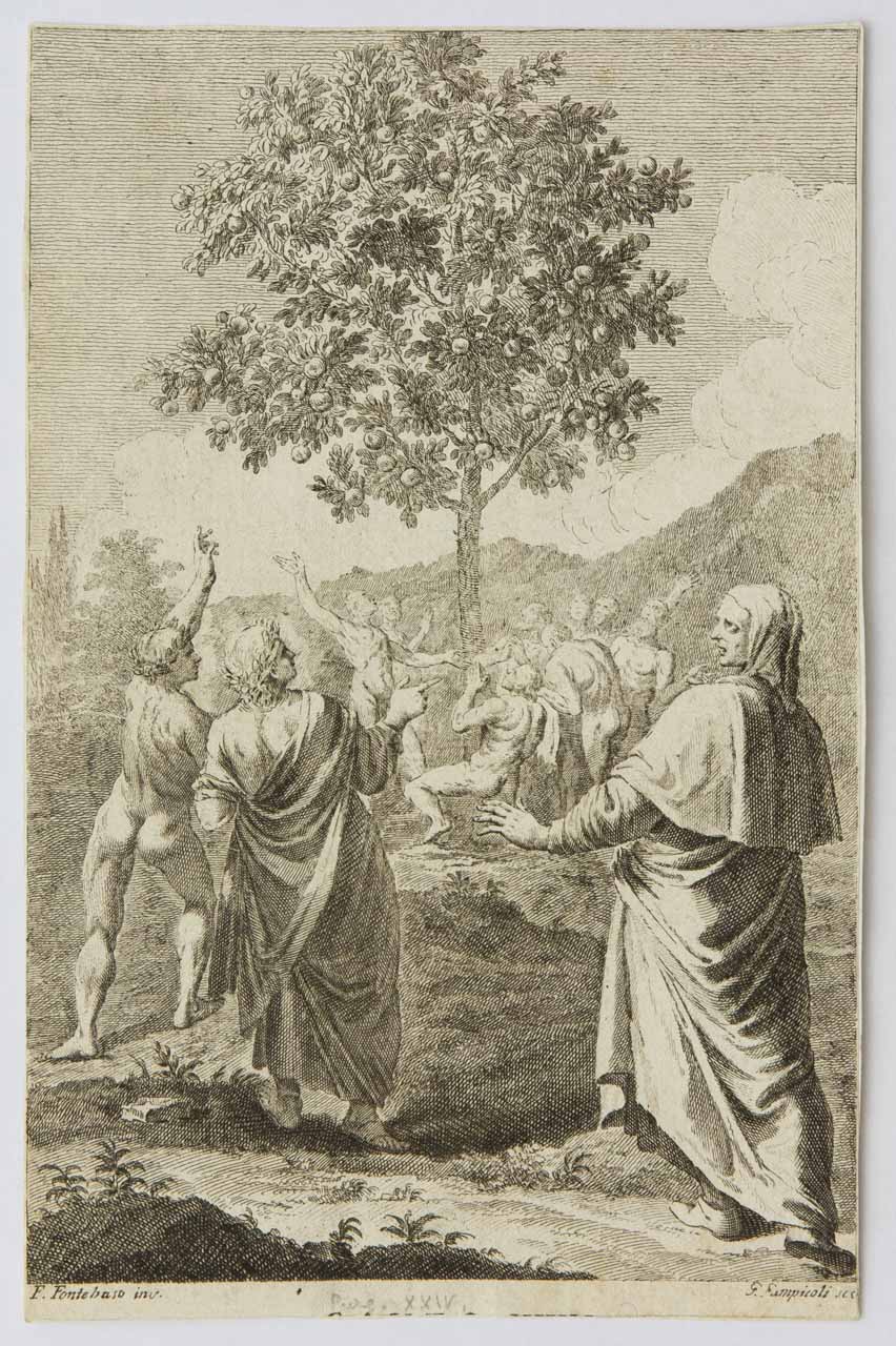 Purgatorio, canto XXIV (stampa, serie) di Giampiccoli Giuliano, Fontebasso Francesco - ambito veneto (metà XVIII)
