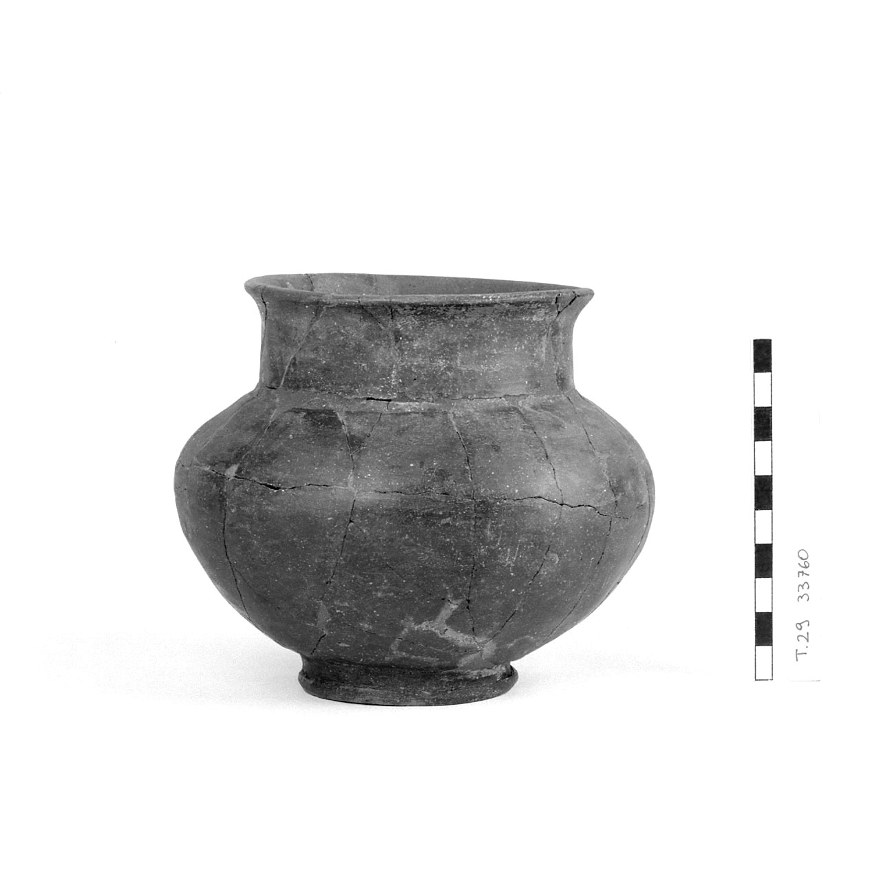 Olla - Cultura di La Tène D2 finale (fine Sec. I a.C)