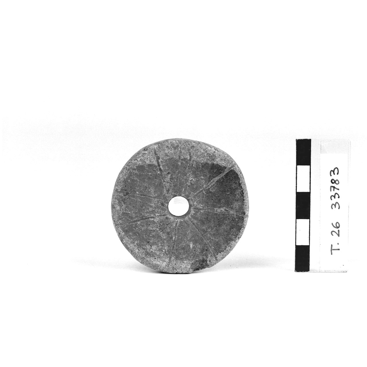 Fuseruola (prima metà Sec. I d.C)