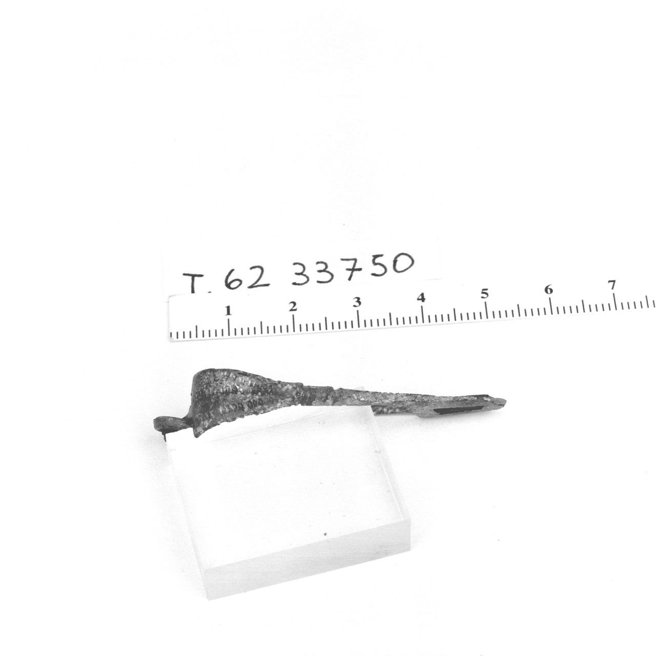 Fibula, Feugère, tipo 5a30 - Cultura di La Tène D2 (metà Sec. I a.C)
