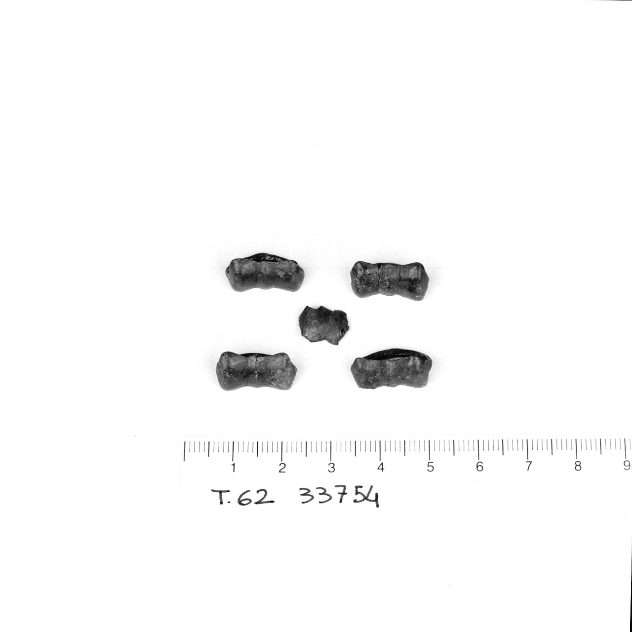 Quattro pendagli - Cultura di La Tène D2 (metà Sec. I a.C)