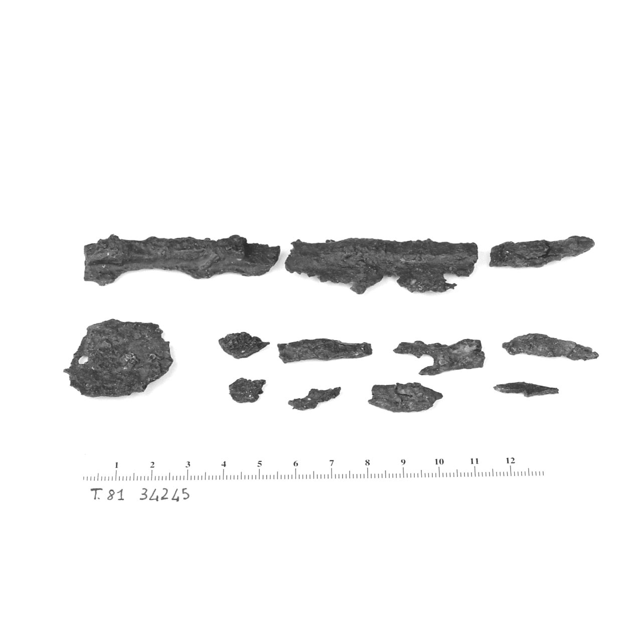 Cesoie - Cultura di La Tène D2 (metà Sec. I a.C)