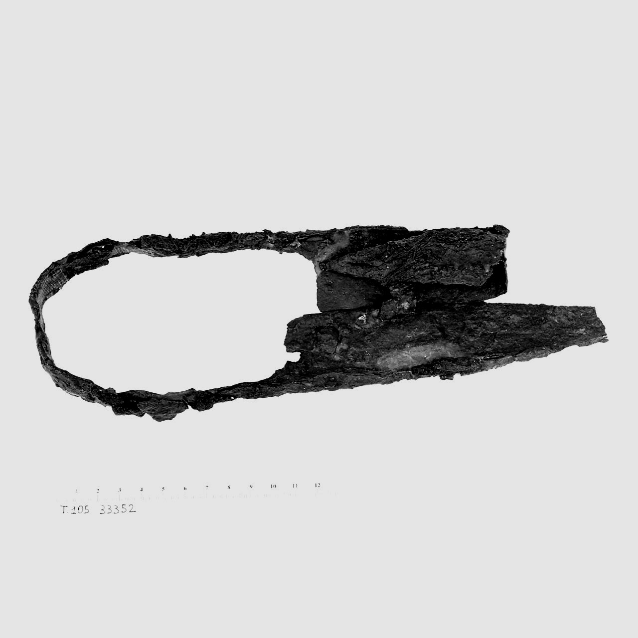 Cesoie - Cultura di La Tène D2 (seconda metà Sec. I a.C)