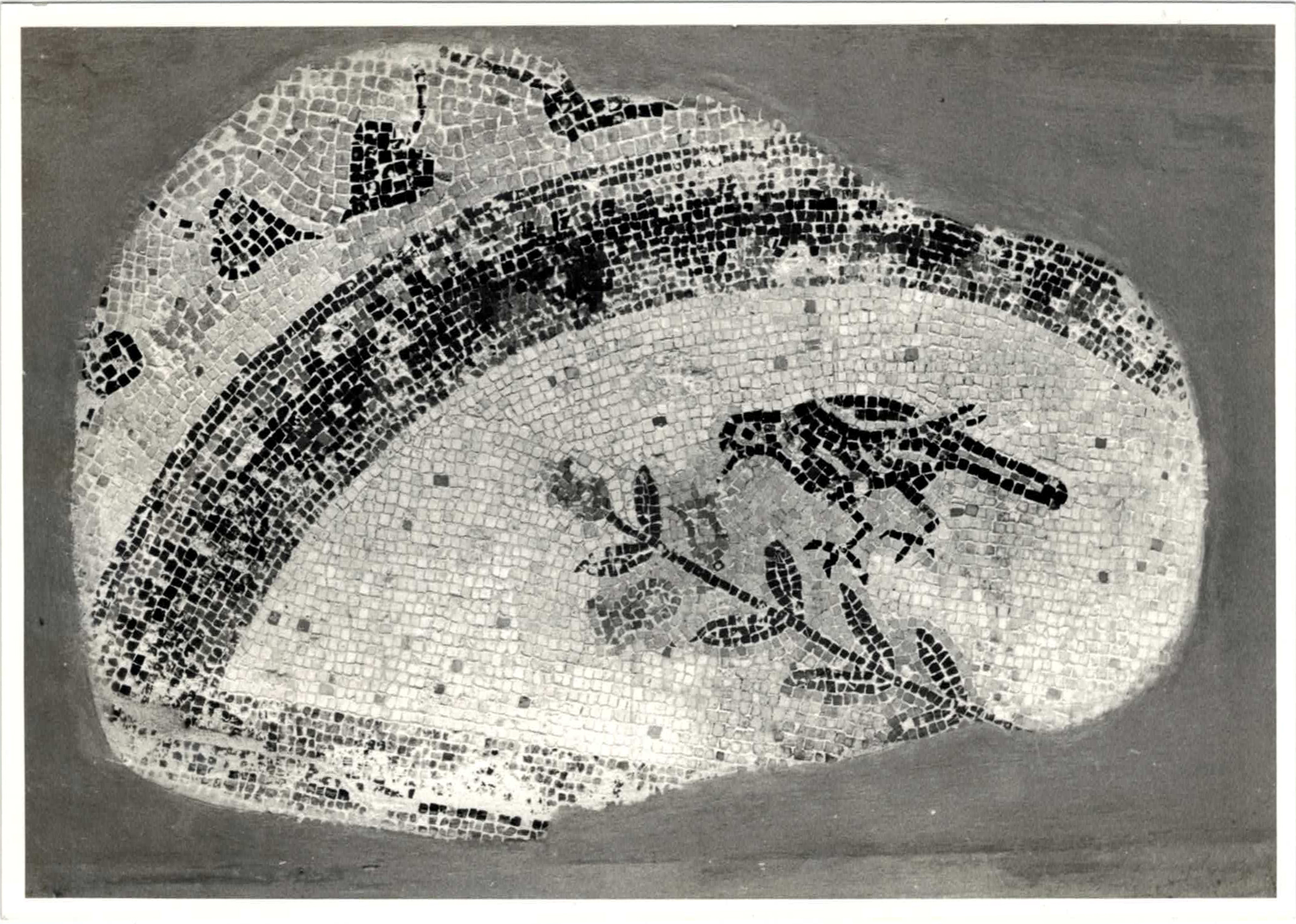 mosaico - età romana imperiale (metà II d.C)
